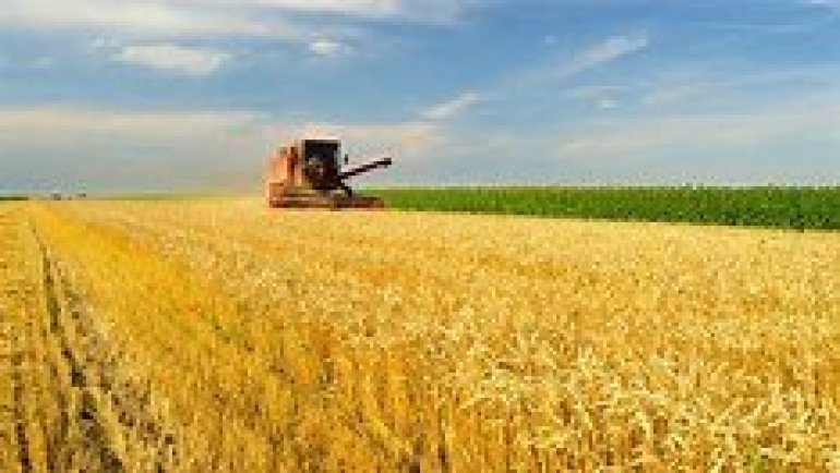 Plano Safra vai garantir juros menores a produtores que cumpram regras ambientais